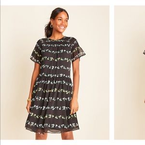NWT Ann Taylor Dress